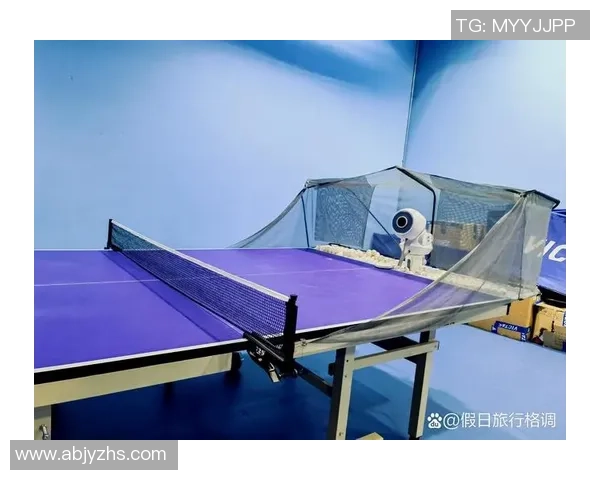 杨静独家分享乒乓球技巧与心得体会助你提升球技的秘诀